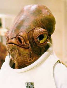 http://www.ackbar.org/images/ackbar.jpg